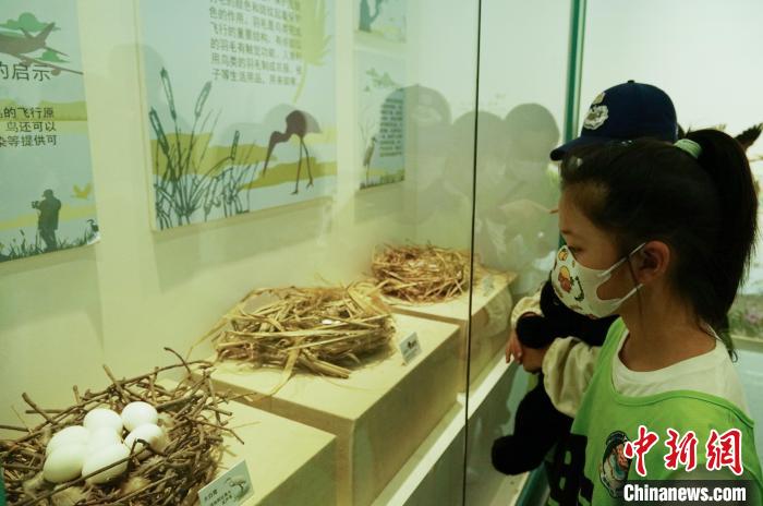 圖為小朋友在青海西寧湟水國家濕地公園科普館內參觀學習?！●R銘言 攝