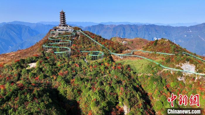 巴山大峽谷彩林迎來最佳觀賞期?！∫κ?攝