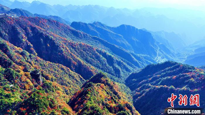 巴山大峽谷彩林迎來最佳觀賞期?！埰?攝