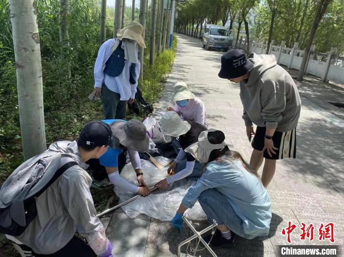 圖為科研人員正在進行監(jiān)測?！∥鲗庝宜畤覞竦毓珗@供圖