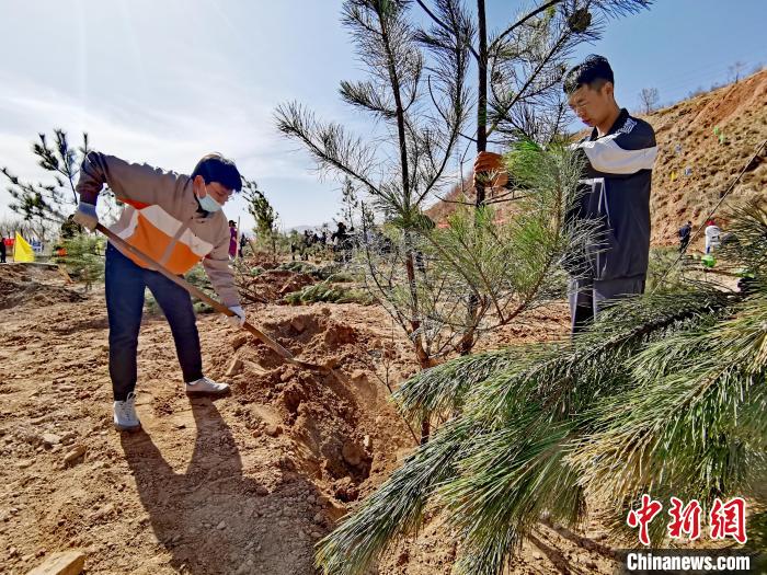 圖為西寧市城東區(qū)義務(wù)植樹活動(dòng)現(xiàn)場(chǎng)。　張?zhí)砀?攝