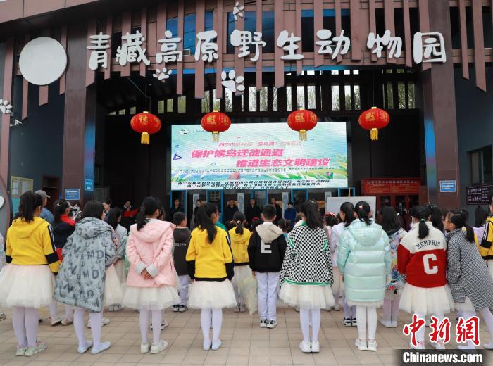 圖為青海省西寧市開展第42屆“愛鳥周”科普宣傳活動?！●R銘言 攝