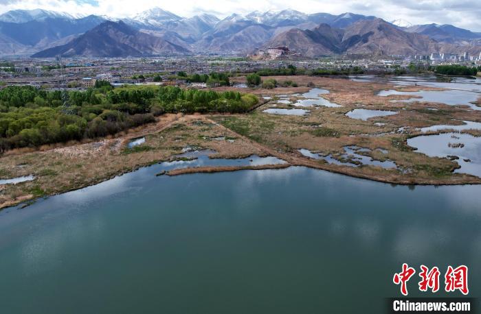 圖為拉薩拉魯濕地。(無人機照片) 李林 攝