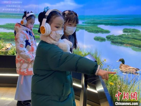 圖為學(xué)生在西寧市第一中學(xué)濕地科普宣教館內(nèi)參觀。　李江寧 攝