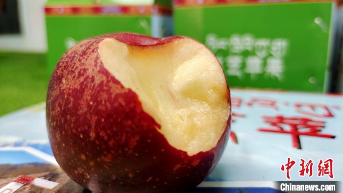 圖為通麥村特色甜心蘋果?！∝暽＠?攝