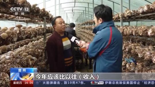 種蘑菇、養(yǎng)駱駝...。。特色產業(yè)助力鄉(xiāng)村振興走新路