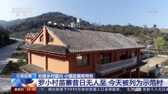 種蘑菇、養(yǎng)駱駝...。。特色產業(yè)助力鄉(xiāng)村振興走新路