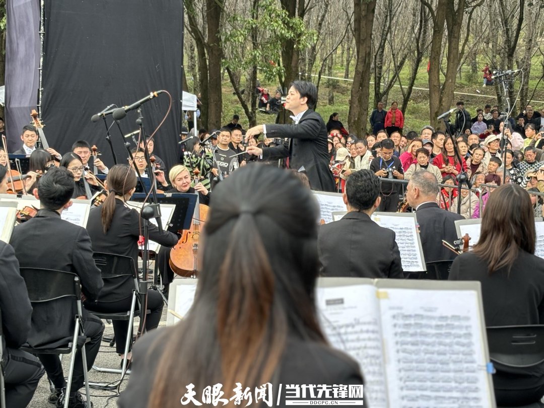 貴陽(yáng)路邊音樂(lè)會(huì)·貴安櫻花園專場(chǎng)交響樂(lè)現(xiàn)場(chǎng)。丁亞 文丹 攝