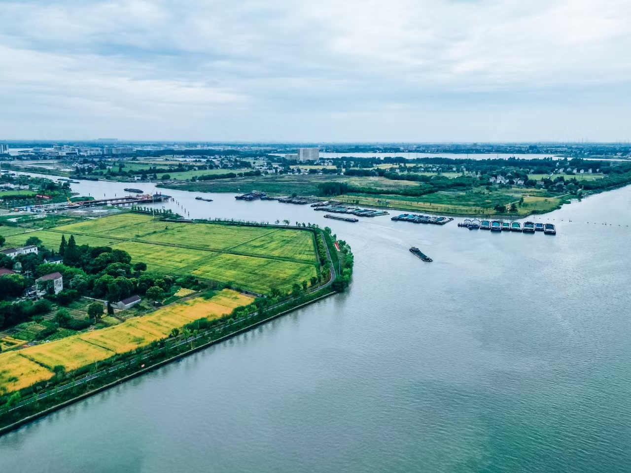 太浦河沿岸好風(fēng)光。吳橫軒攝