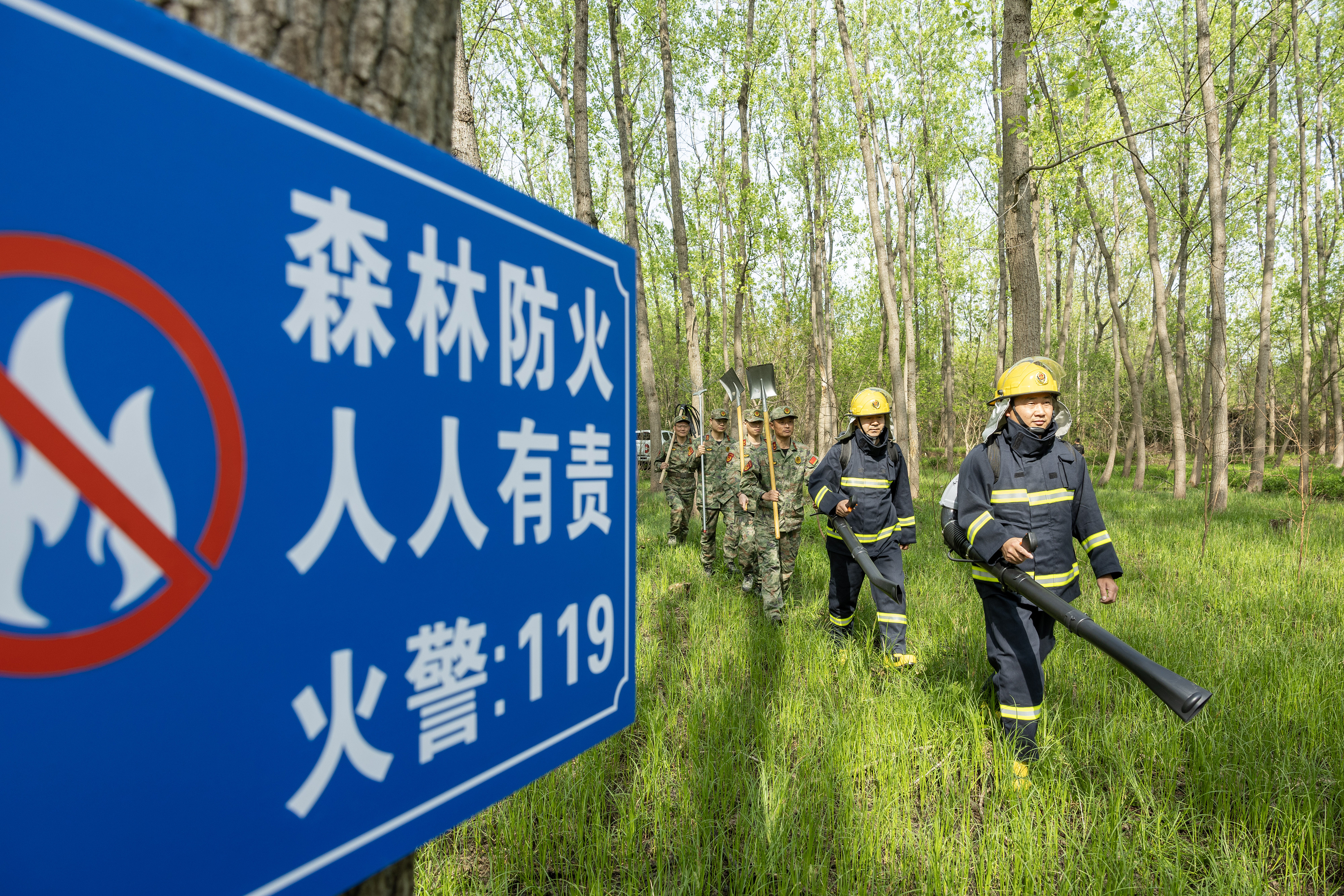 2024年4月9日，合肥市大房郢水庫水源保護(hù)地廬陽經(jīng)濟(jì)開發(fā)區(qū)段，基干民兵正在林間巡查火災(zāi)隱患。