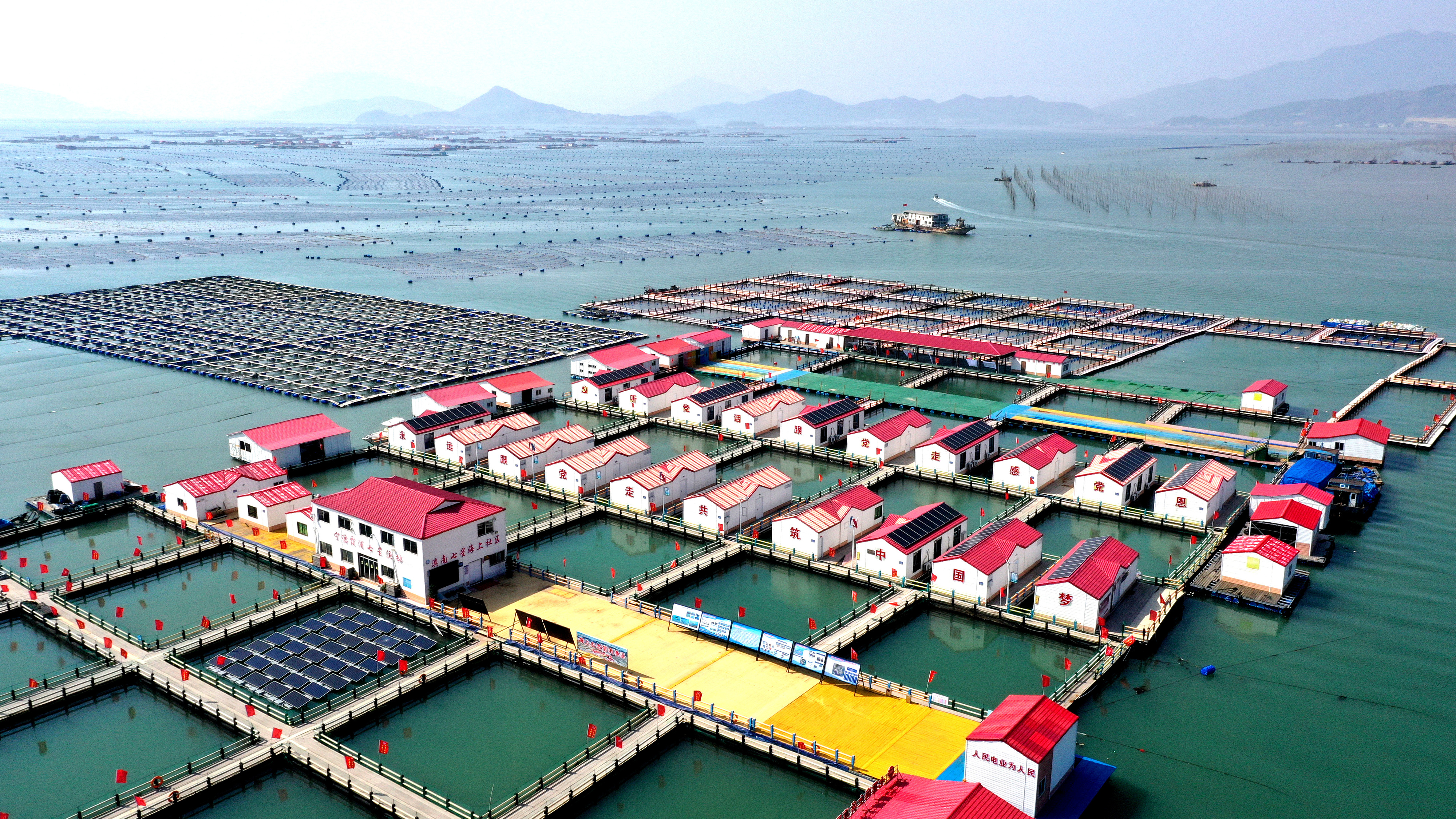 2024年3月20日，福建省寧德市，霞浦縣溪南鎮(zhèn)七星村漁排養(yǎng)殖示范區(qū)，漁民駕駛養(yǎng)殖船進(jìn)行海參養(yǎng)殖作業(yè)。