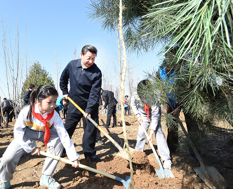 2015年4月3日，習(xí)近平總書記同大家一起植樹(shù)。