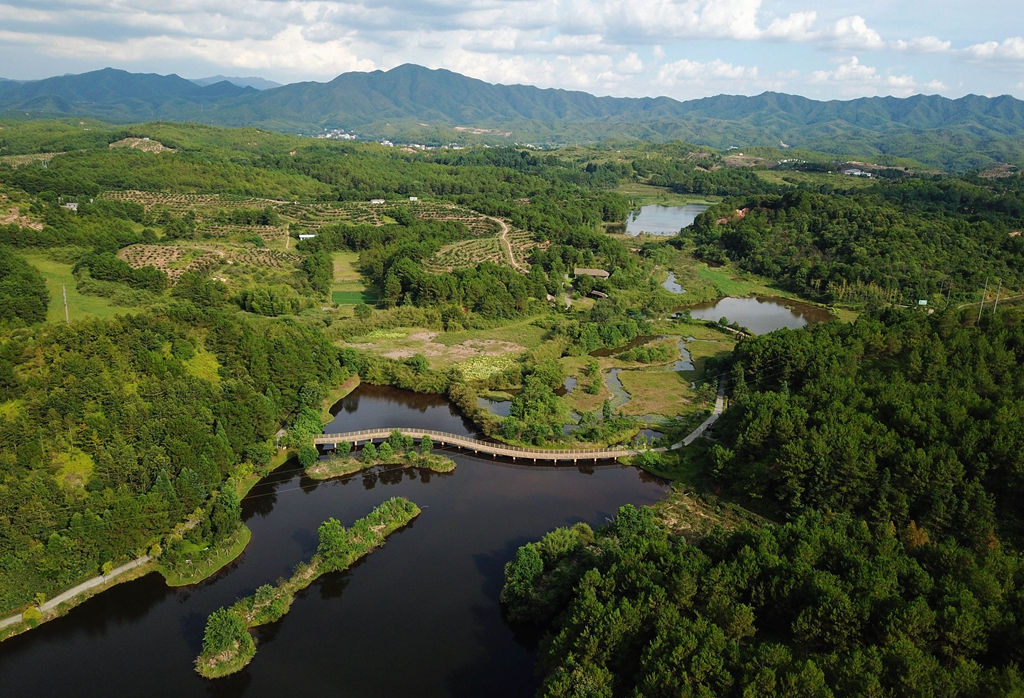 福建省龍巖市長汀縣的長汀汀江國家濕地公園景色（2020年7月28日攝，無人機(jī)照片）。新華社記者 魏培全 攝