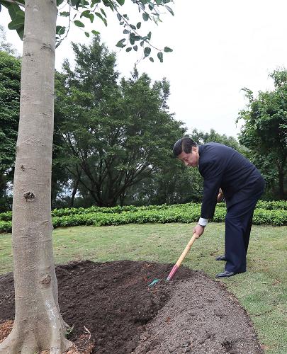 2012年12月7日至11日，習(xí)近平在廣東省考察工作。這是8日上午，習(xí)近平在深圳蓮花山公園種下一棵高山榕樹。新華社記者 蘭紅光 攝