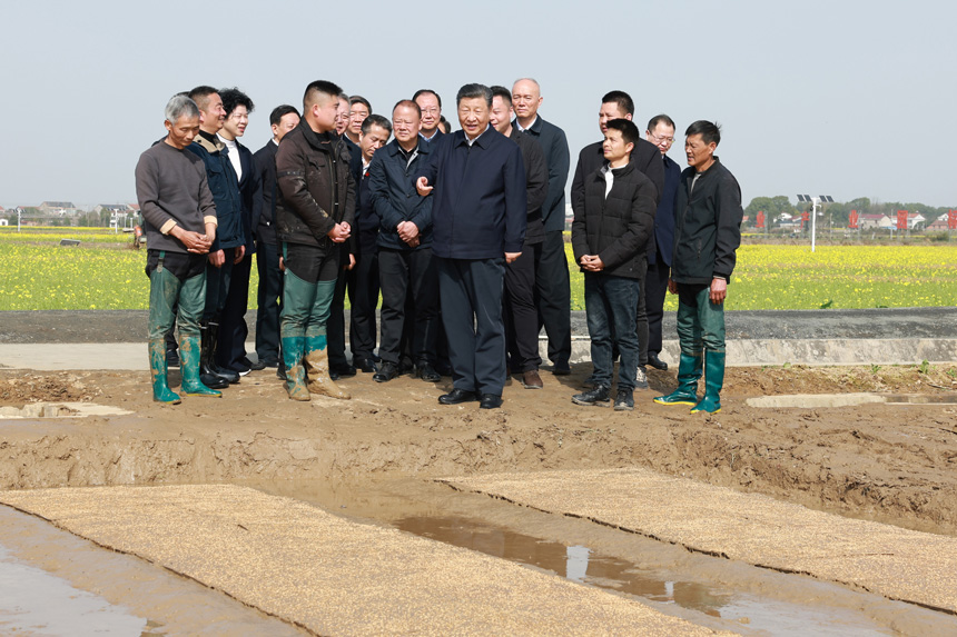 2024年3月18日至21日，中共中央總書記、國家主席、中央軍委主席習(xí)近平在湖南考察。這是19日下午，習(xí)近平在常德市鼎城區(qū)謝家鋪鎮(zhèn)港中坪村走進(jìn)田間，察看秧苗培育和春耕備耕進(jìn)展。新華社記者 王曄 攝