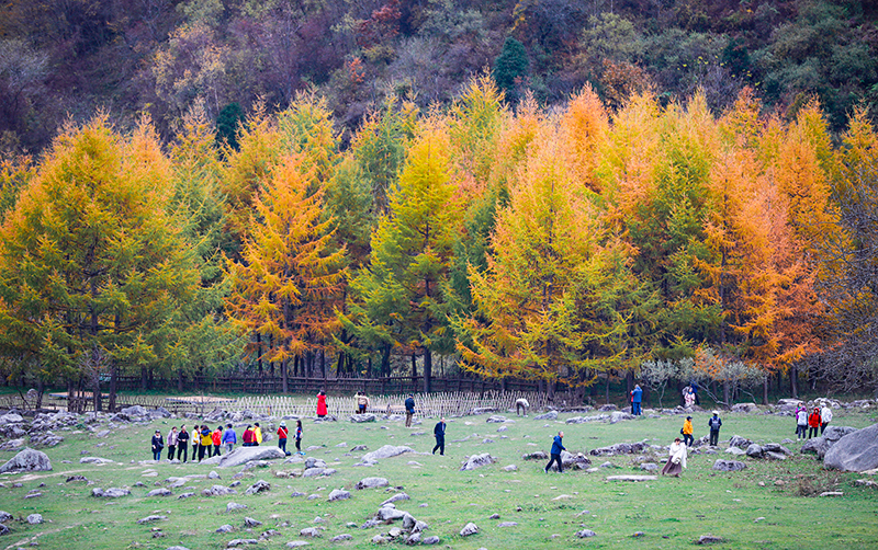2023年10月27日，深秋時節(jié)的陜西秦嶺太子嶺漫山紅黃、色彩交織，進入最佳觀賞期。