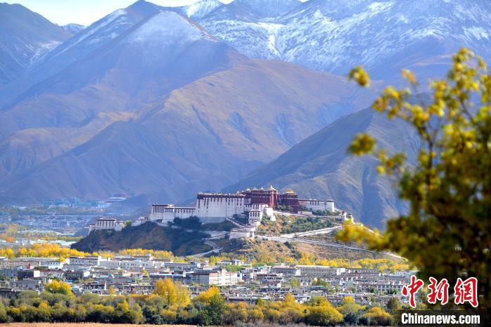 10月24日，雪山、布達(dá)拉宮和秋色組成“風(fēng)景畫”。　江飛波 攝