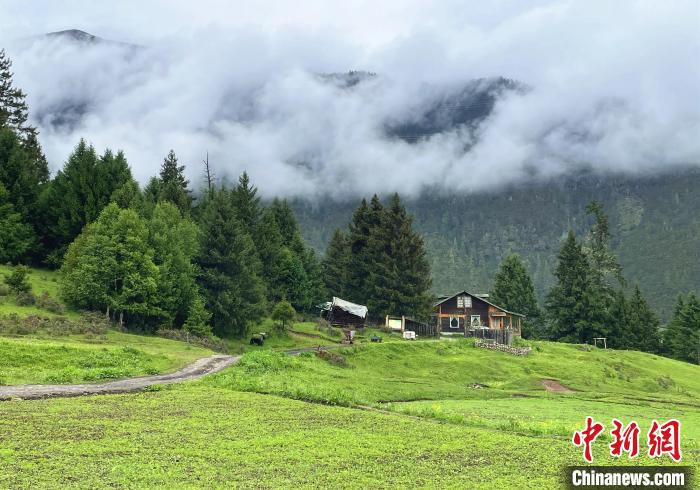 6月10日，魯朗小鎮(zhèn)高山牧場景區(qū)風光。　冉文娟 攝
