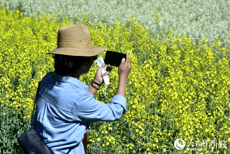 大片油菜花吸引游客到來(lái)。人民網(wǎng) 李海霞攝