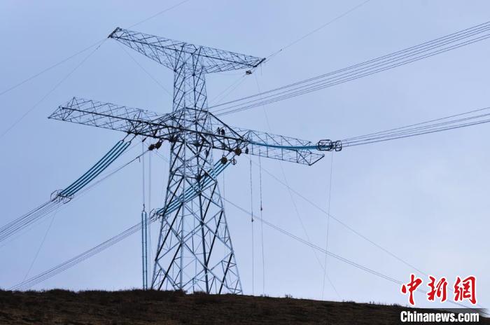 高原藏區(qū)電力線路建設(shè)者：高寒缺氧、扎刺掛彩是常事