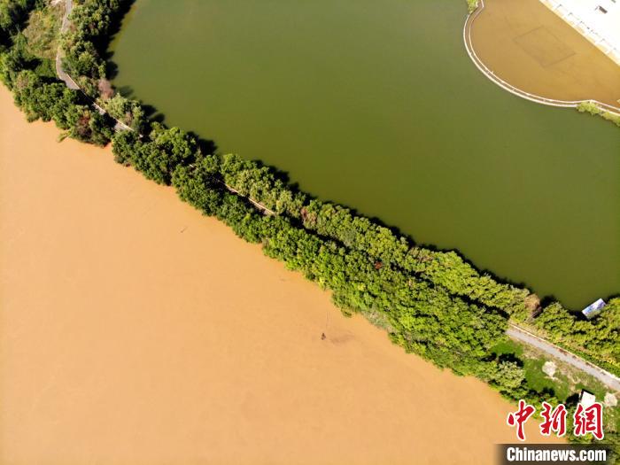 圖為2020年9月3日航拍黃河蘭州段濕地公園現(xiàn)黃河“鴛鴦鍋”。(資料圖) 高瑩 攝