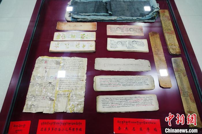 圖為藏醫(yī)古集文獻和藏醫(yī)臨床原始手稿?！●R銘言 攝