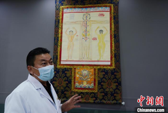 圖為興?？h藏醫(yī)院院長介紹藏醫(yī)四部醫(yī)典詳實圖?！●R銘言 攝