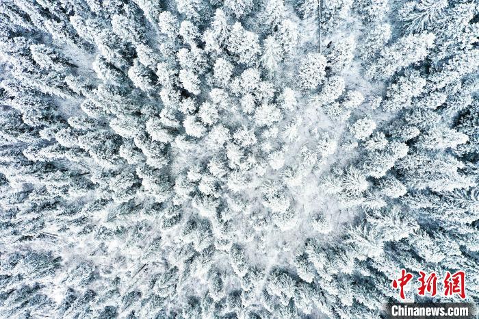 壤塘的雪后美景。　壤塘縣融媒體中心供圖