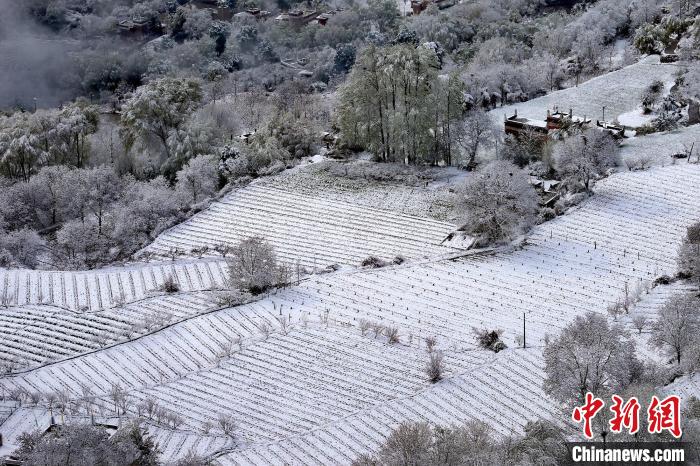 雪后的高山田間如畫。　李永安 攝