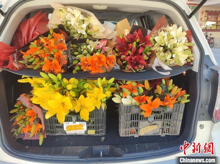 剛剛采摘下來的百合花?！∪捞量h委宣傳部供圖