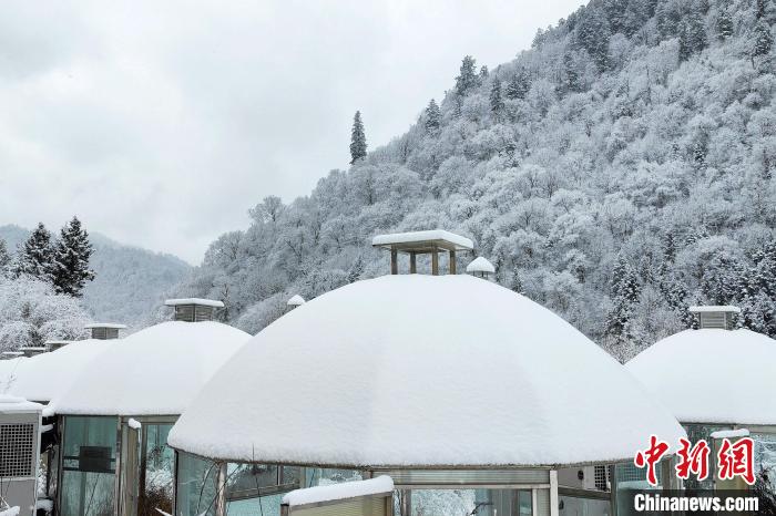 大熊貓國家公園王朗片區(qū)春雪如畫，宛若仙境。　羅春平 攝