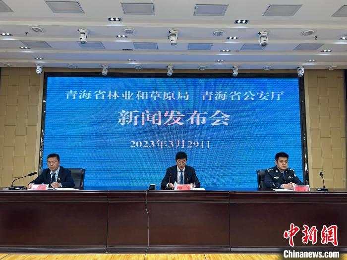 青海去年占用林地、草地準予許可件同比實現(xiàn)“雙減”