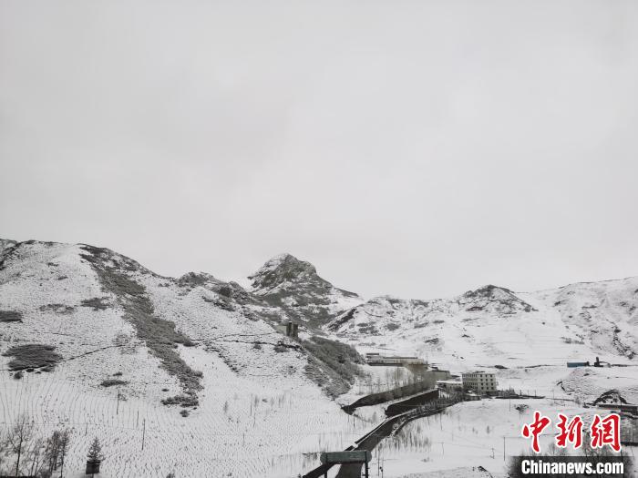 圖為青海省東南部的青沙山區(qū)域銀裝素裹。　張?zhí)砀?攝