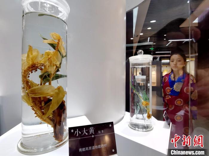 青海中藏醫(yī)藥發(fā)展提速：建設(shè)一批重點(diǎn)?？茖W(xué)科，推廣一批適宜技術(shù)