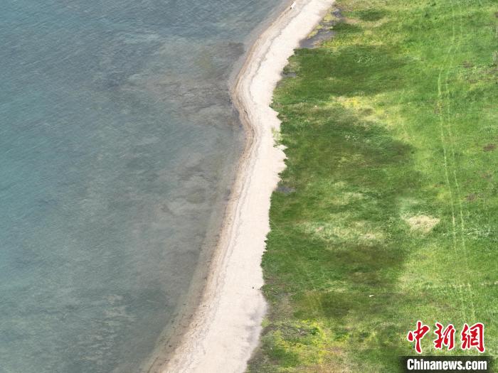 圖為航拍仲夏時節(jié)，青海湖畔綠茵如毯?！∑钤鲚?攝