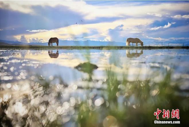 資料圖：那曲市申扎縣境內(nèi)的濕地。李雪峰 攝