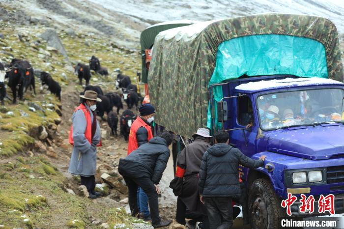 圖為牧民們查看車輛準備出發(fā)?！÷蹇?攝