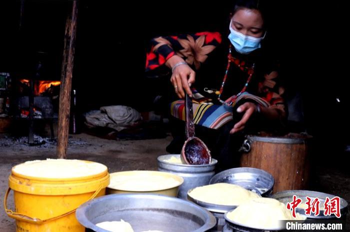 圖為牧民正在制作酥油?！∪湛t文聯(lián)供圖