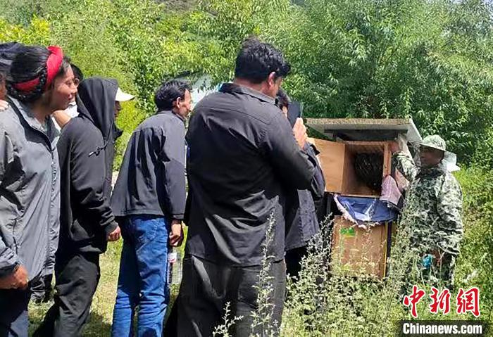 拉久西村村民學習養(yǎng)蜂工作流程和防范事項?！〔际忻⒖悼h委宣傳部供圖