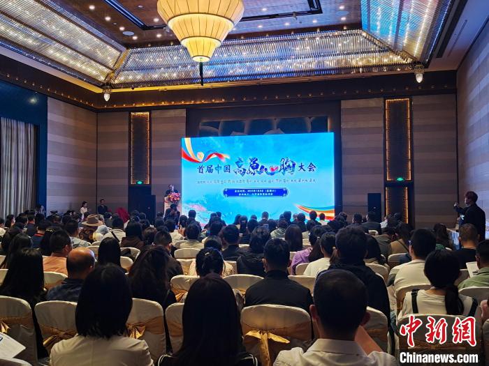 圖為首屆中國(guó)高原心胸大會(huì)現(xiàn)場(chǎng)?！☆D旦旺姆 攝