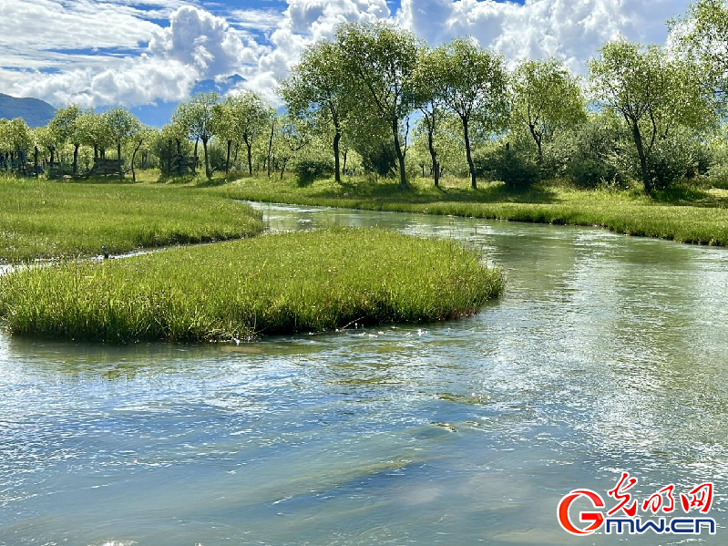 我們的家園丨【組圖】 綠水青山入畫(huà)，“金山銀山”筑起
