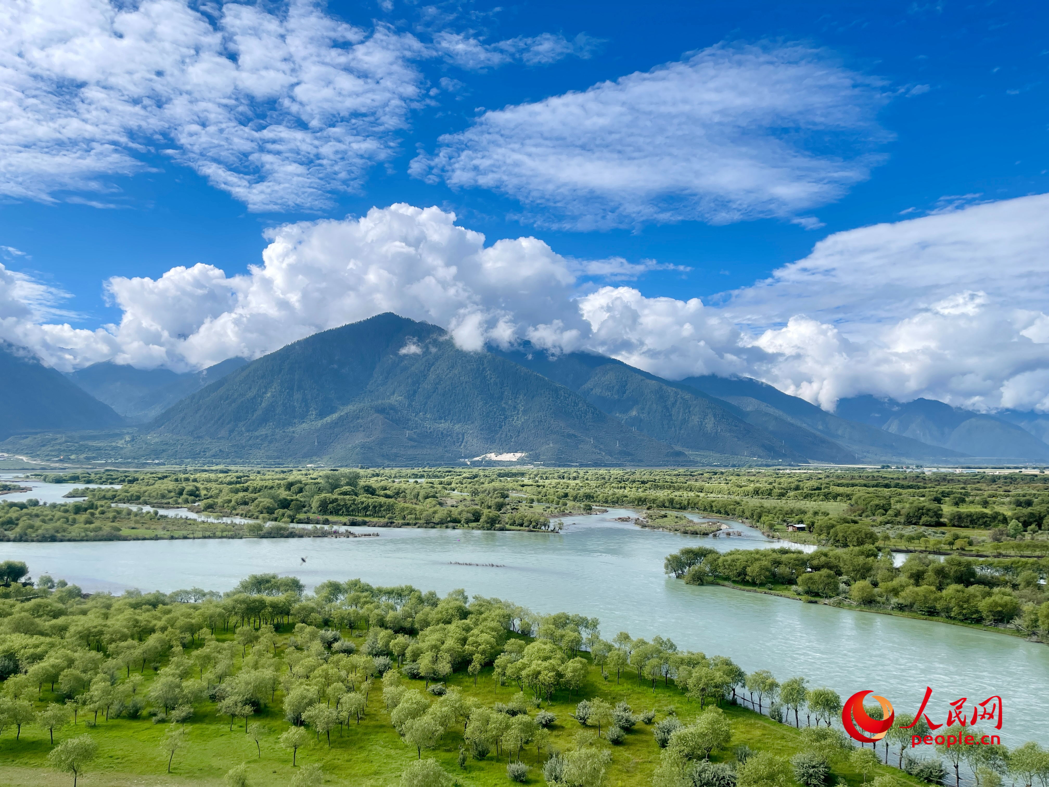 夏日的雅尼國家濕地公園生機盎然，如詩如畫。人民網(wǎng) 周靜圓攝