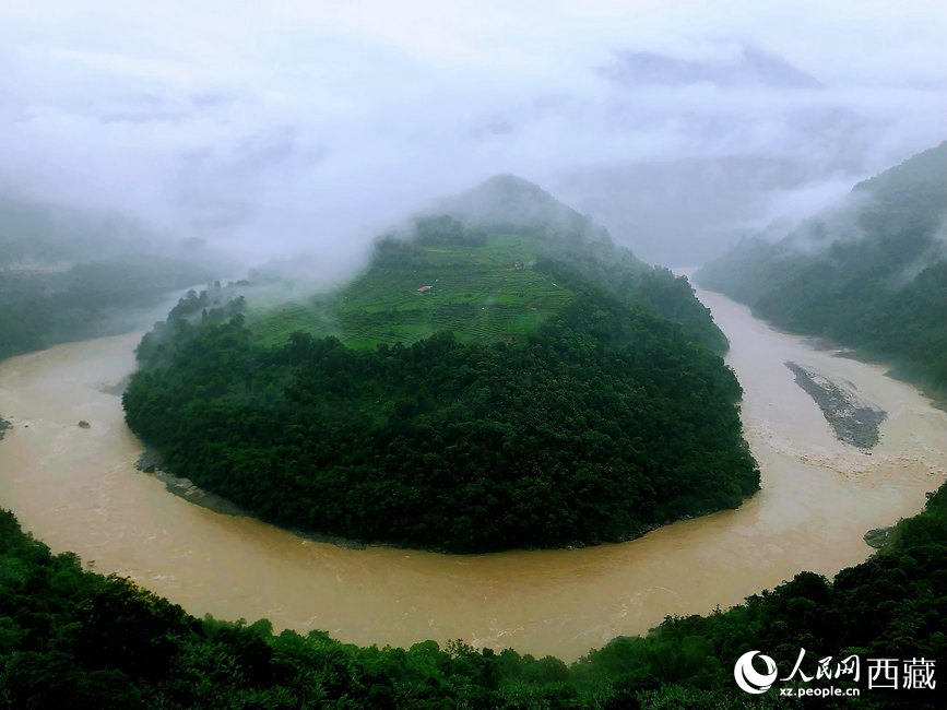 雅魯藏布江大峽谷蛇形拐彎處，山坡上種滿茶樹。