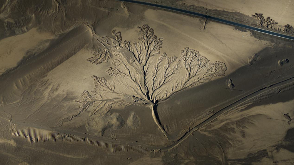 無人機視角下的西藏阿里地區(qū)改則縣“大地之樹”景觀。尼瑪多吉攝