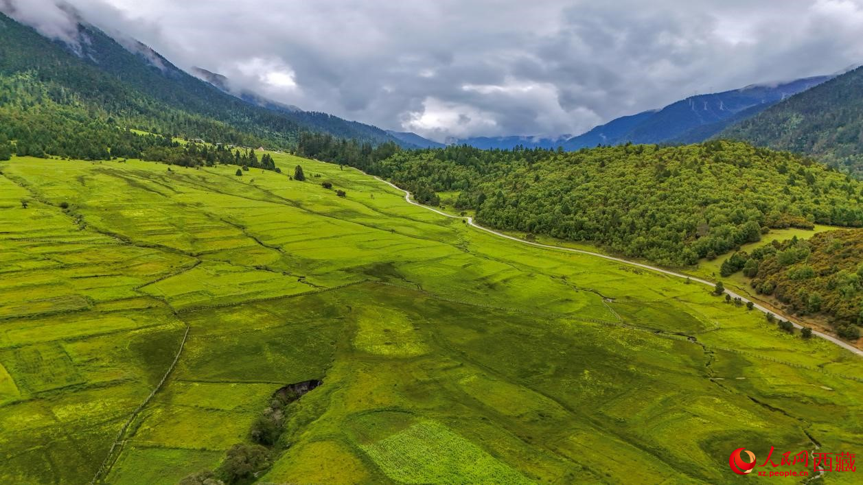 圖為航拍高山牧場(chǎng)鳥瞰圖。人民網(wǎng)記者 次仁羅布攝