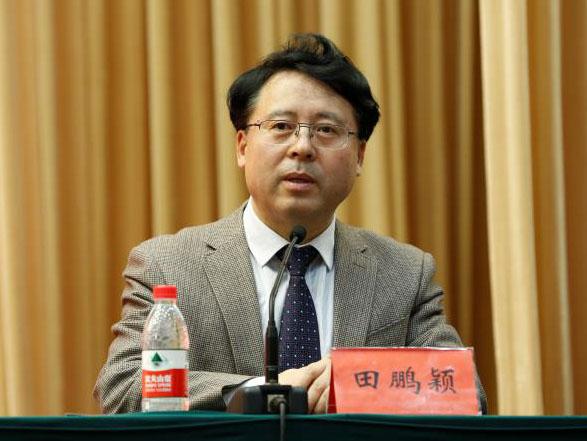 田鵬穎：投入其中、樂(lè)在其中、安身其中