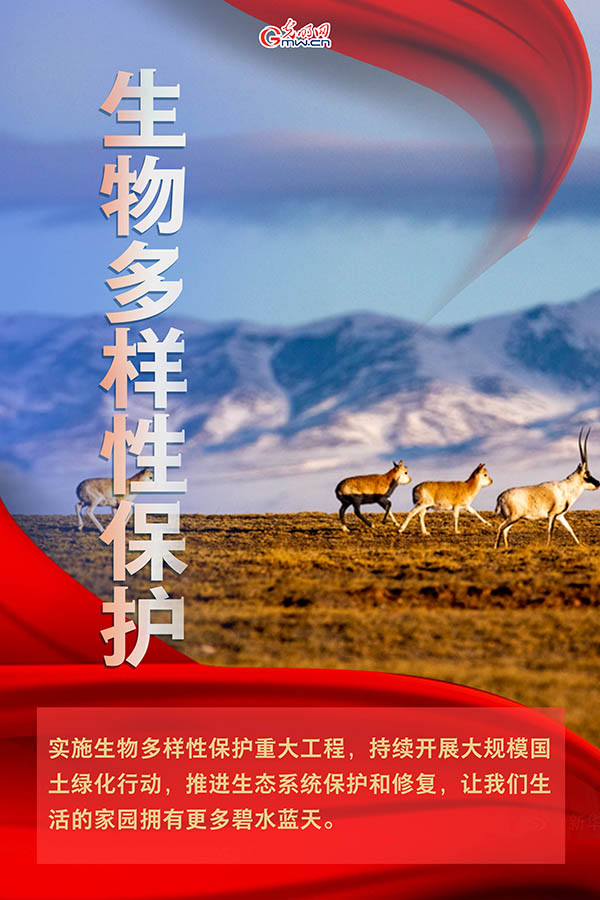 海報(bào)| 2021年政府工作報(bào)告，提到這些生態(tài)環(huán)保關(guān)鍵詞